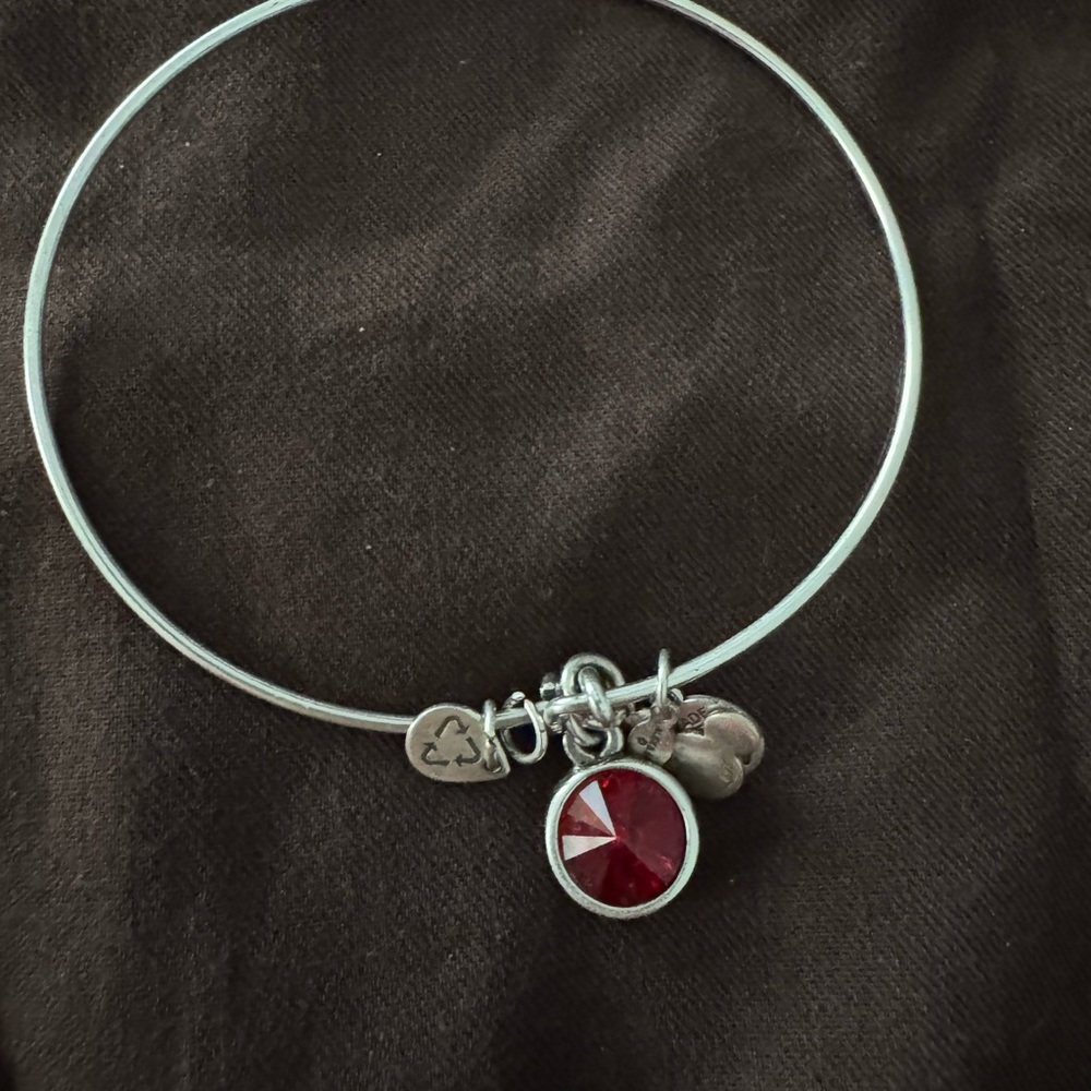 Alex and Ani Silver and Red Charm Bracelet